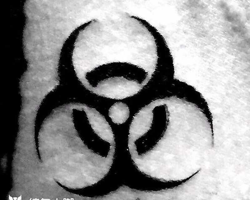 生物危险纹身图片_成品手稿手臂习俗欧美写实清新传统宗教字符纹身图案