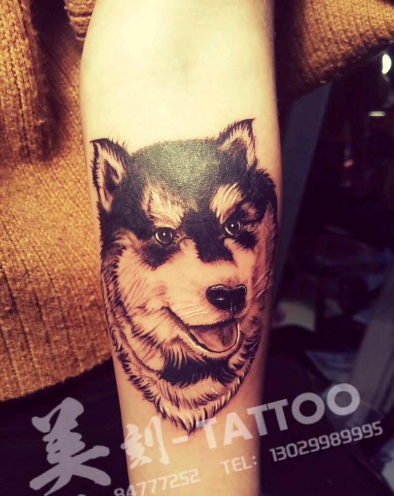 阿拉斯加纹身图片_手臂欧美写实动物原创成品纹身图案