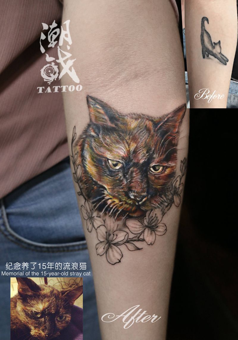 宝贝猫咪纹身图片_手臂欧美写实遮盖宠物纹身图案