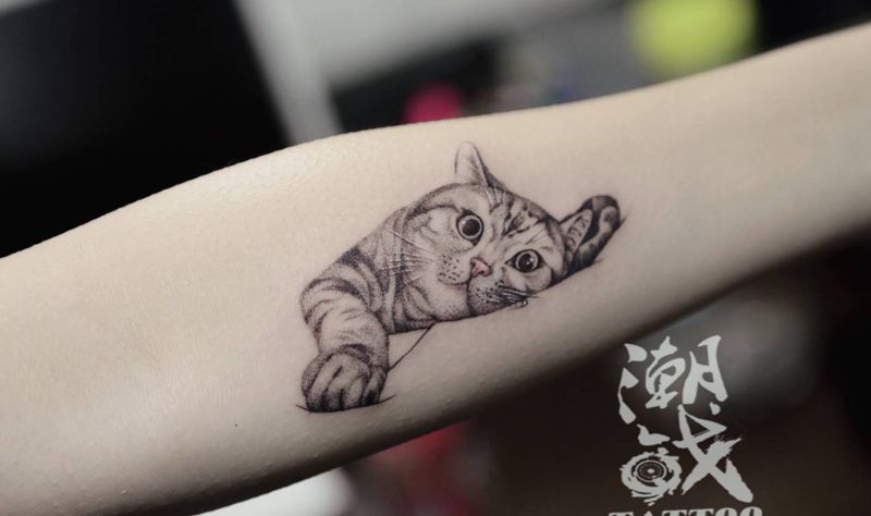 猫咪纹身图片_手臂欧美写实猫纹身图案