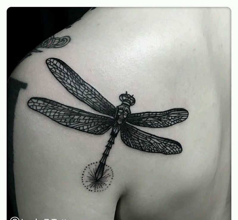 蜻蜓|幸运7纹身纹身图片_肩部清新动物图腾纹身图案