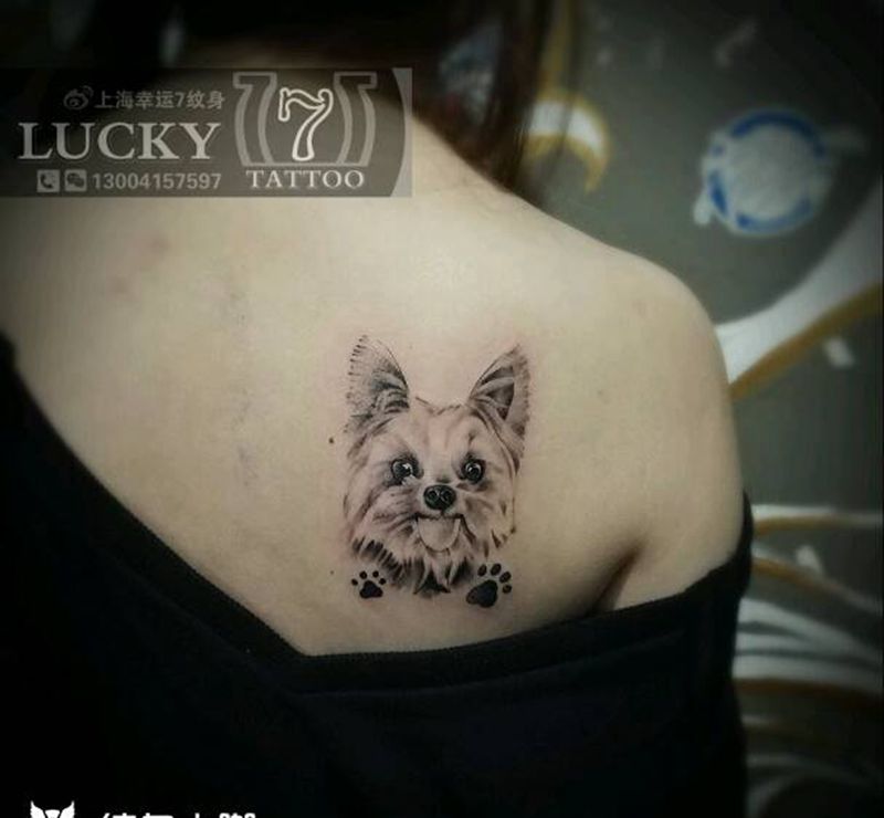小狗头像|肖像|幸运7纹身纹身图片_背部肖像写实动物原创黑灰成品纹身图案