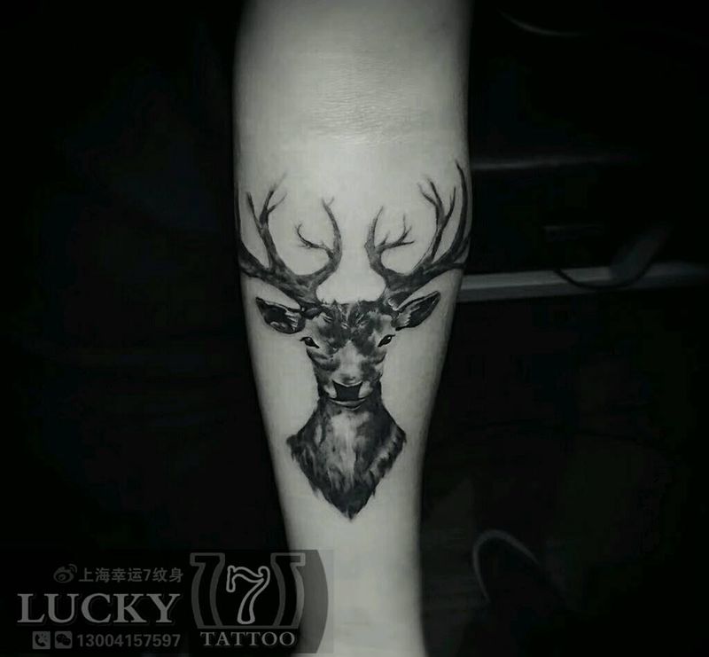 鹿头|幸运7纹身纹身图片_手臂动物黑灰成品纹身图案