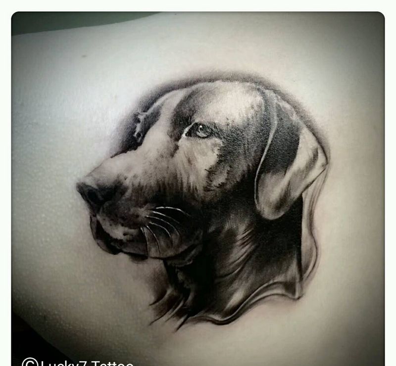 狗|肖像|幸运7纹身纹身图片_肩部欧美肖像动物原创成品纹身图案