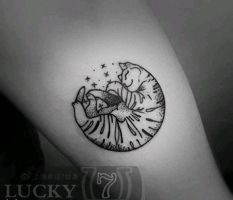 小猫|点刺|幸运7纹身纹身图片_手臂清新动物点刺成品纹身图案