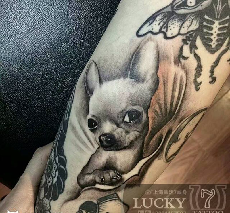 狗|幸运7纹身纹身图片_手臂欧美肖像动物黑灰成品纹身图案