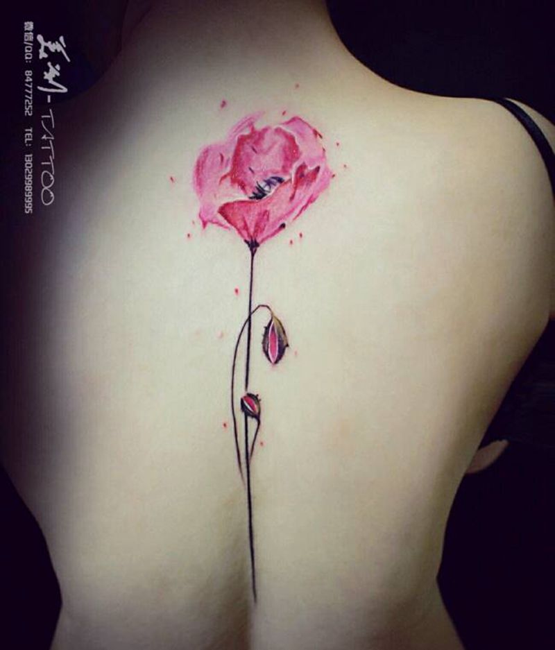 罂粟花纹身图片_肩部腰部背部清新写实贴纸植物原创成品插画纹身图案