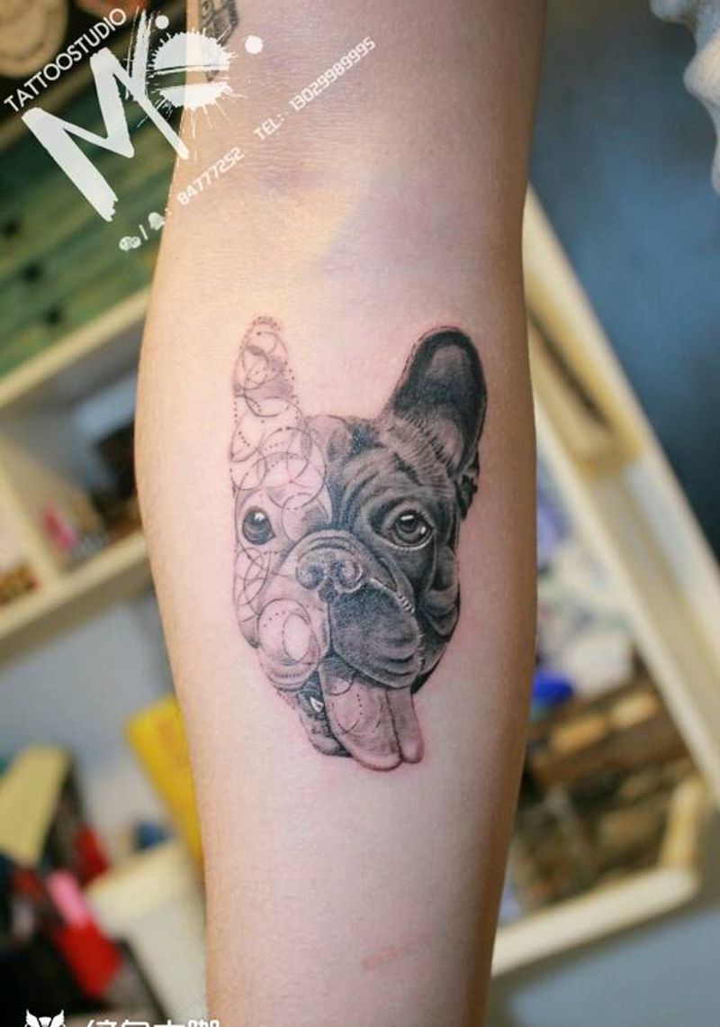斗牛犬纹身图片_手臂欧美肖像清新几何动物原创成品纹身图案