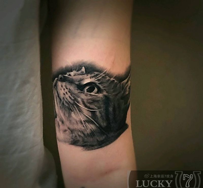 黑灰写实|猫头像|幸运7纹身纹身图片_手臂欧美写实纹身图案