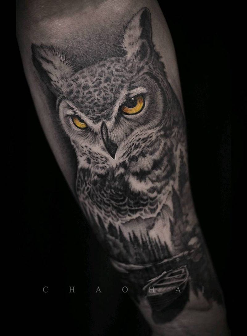 猫头鹰纹身图片_手臂欧美写实纹身图案