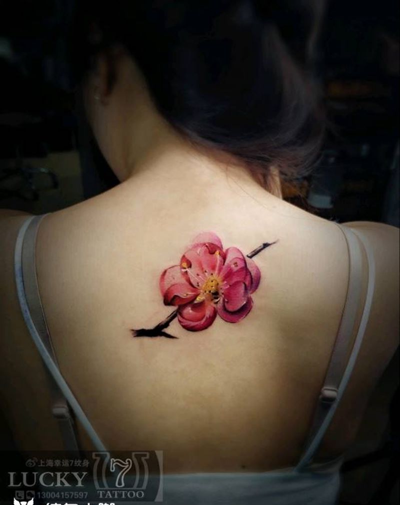 花卉|梅花|幸运7纹身纹身图片