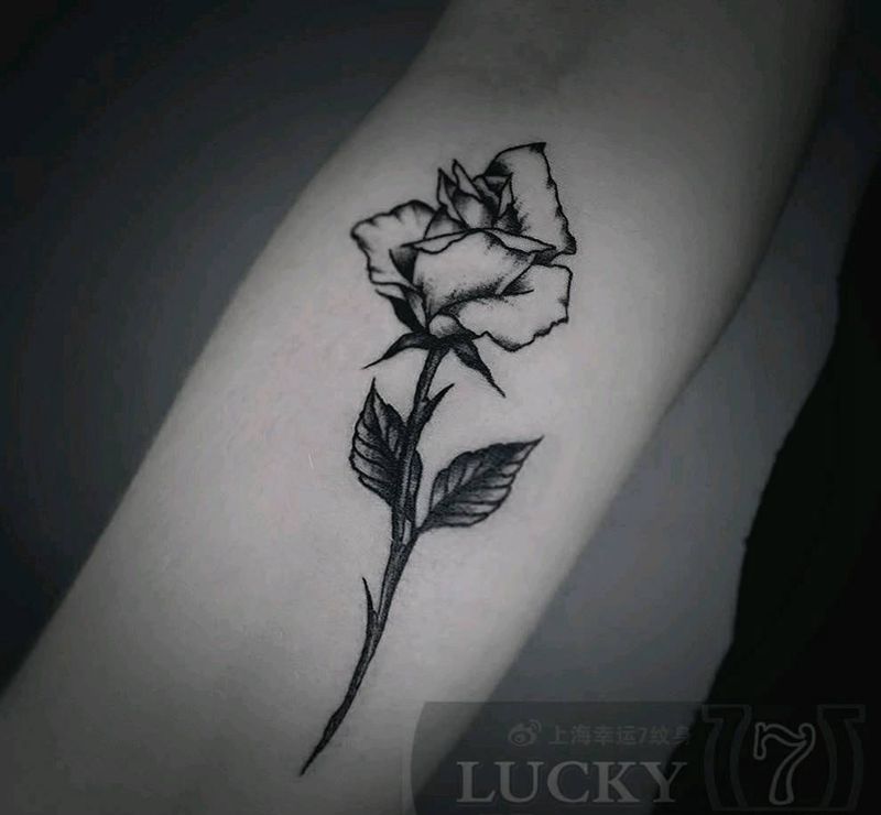 玫瑰|幸运7纹身纹身图片_手臂点刺清新纹身图案