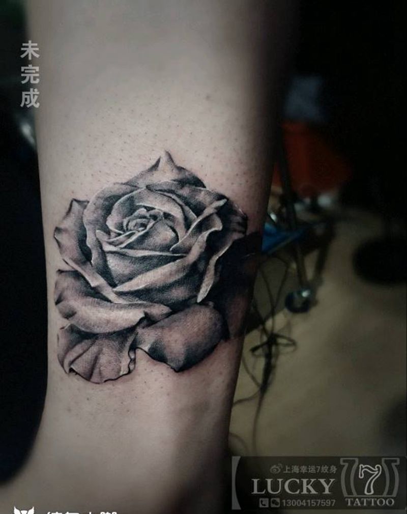 欧美写实|玫瑰|幸运7纹身纹身图片_腿部欧美写实植物黑灰纹身图案