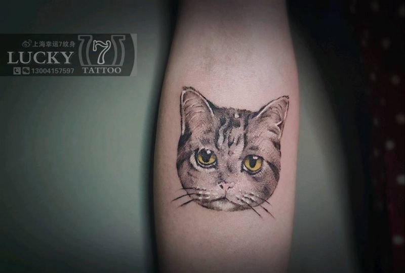 小清新|小猫|幸运7纹身纹身图片_手臂小清新纹身图案