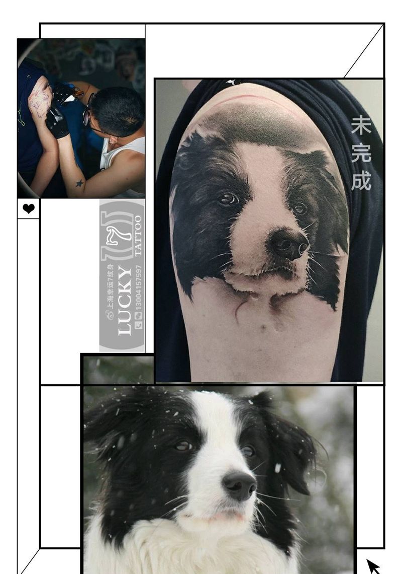 黑灰写实|狗头像|幸运7纹身纹身图片_手臂欧美写实未完成纹身图案