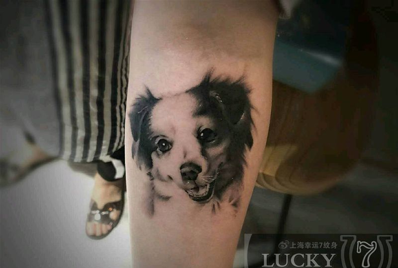 小狗头像|幸运7纹身纹身图片_手臂欧美写实纹身图案
