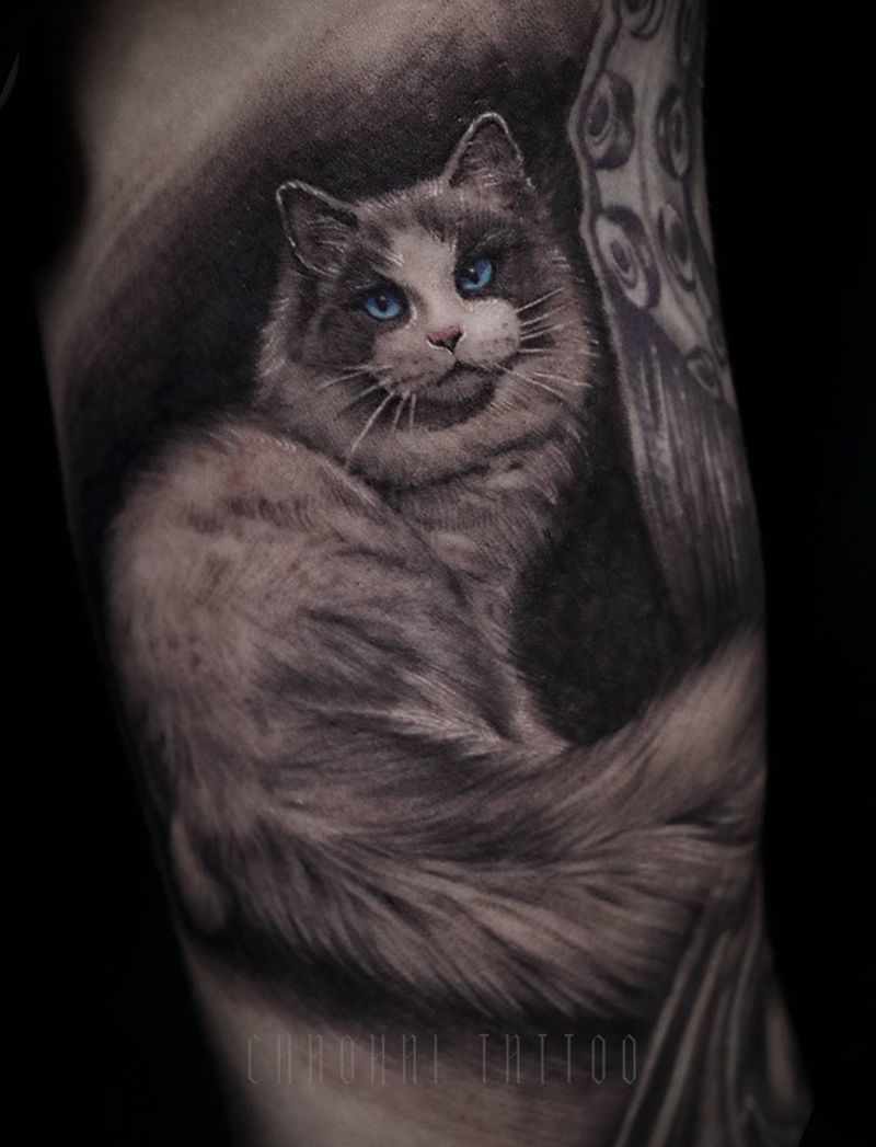 猫纹身图片_手臂欧美写实纹身图案