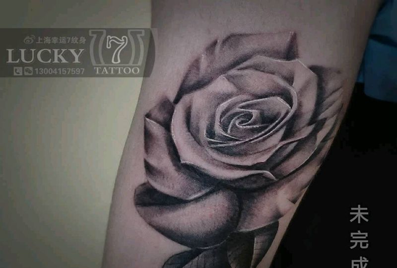 写实玫瑰|幸运7纹身纹身图片_手臂欧美写实未完成纹身图案