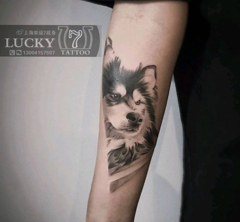 素描|狗头像|幸运7纹身纹身图片_手臂欧美写实纹身图案