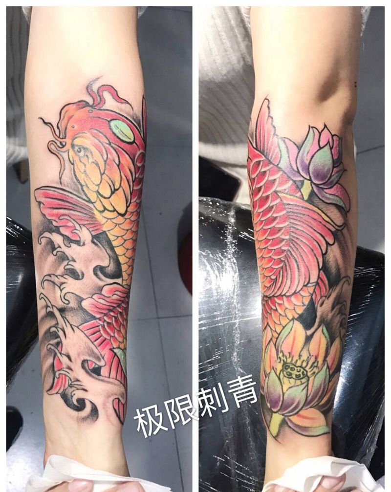 彩色修改鲤鱼。纹身图片