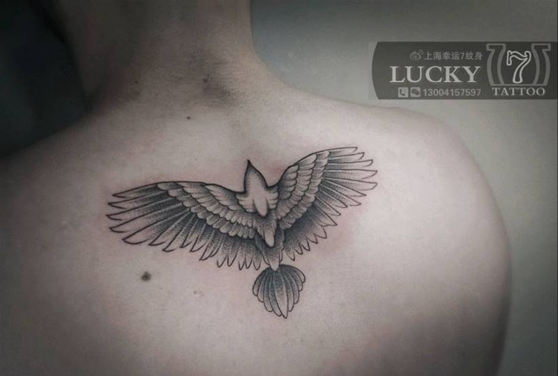 飞鸟|翅膀|幸运7纹身纹身图片_背部纹身图案