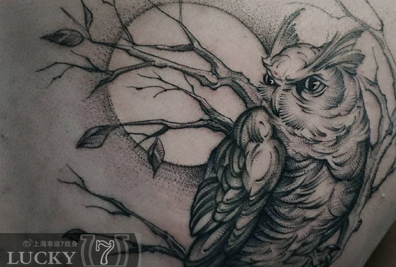 猫头鹰|幸运7纹身纹身图片_背部点刺纹身图案