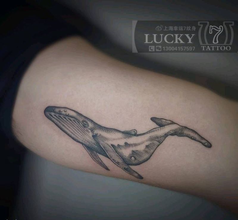 鲸鱼|幸运7纹身纹身图片_手臂点刺纹身图案