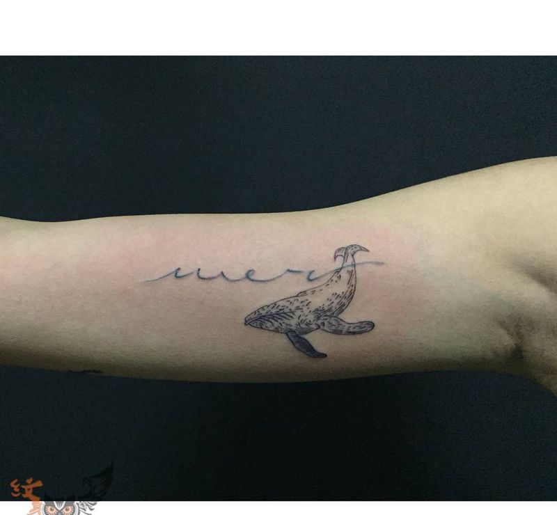 鲸鱼纹身图片_成品手臂清新动物纹身图案