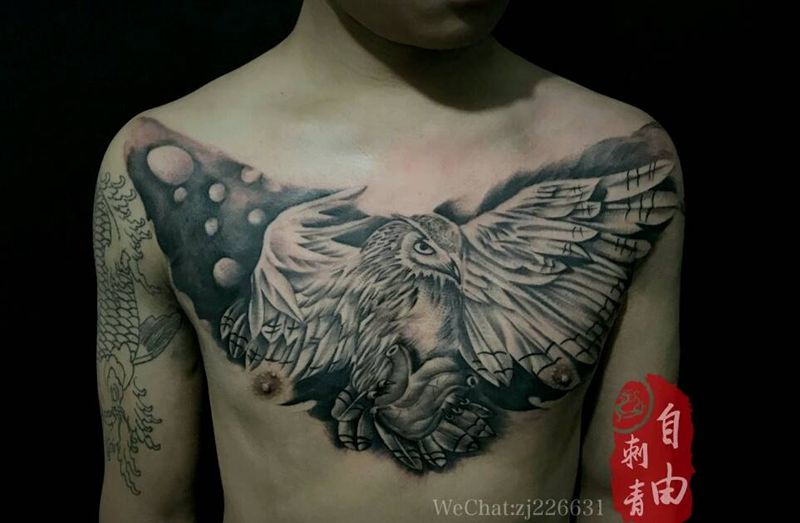 猫头鹰纹身图片_胸部欧美写实猫头鹰纹身图案