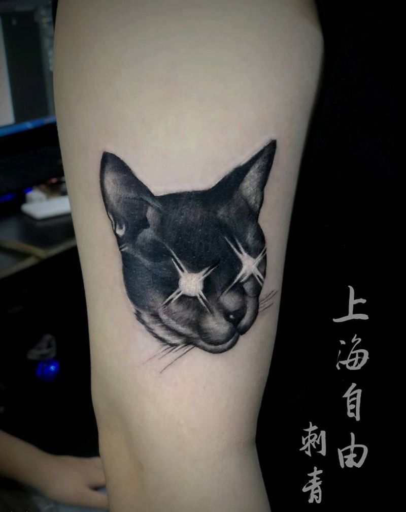 猫纹身图片_手臂欧美写实猫纹身图案