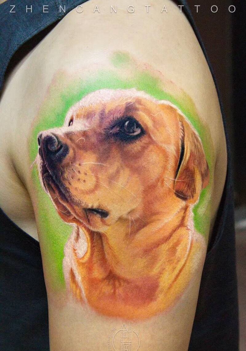 Hey！My friend | 针藏刺青 ·邵钢· 作品纹身图片_成品手臂写实针藏刺青邵钢动物肖像纹身图案