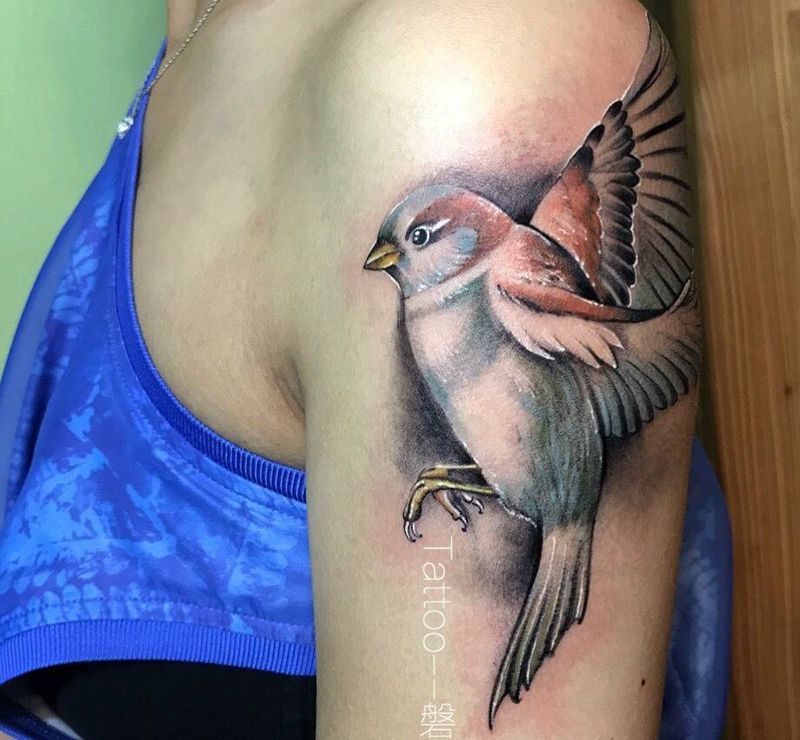 鸟纹身图片