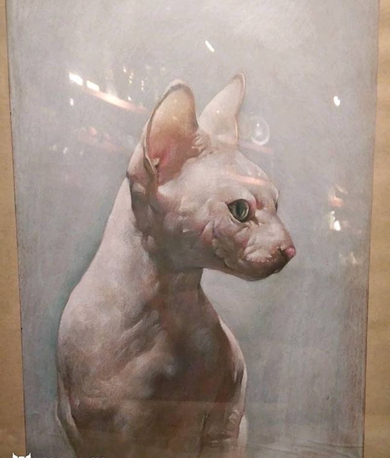 彩铅写实咪咪纹身图片