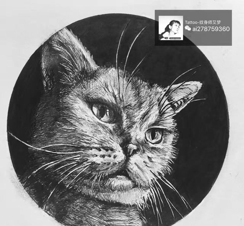 手绘猫猫纹身图片