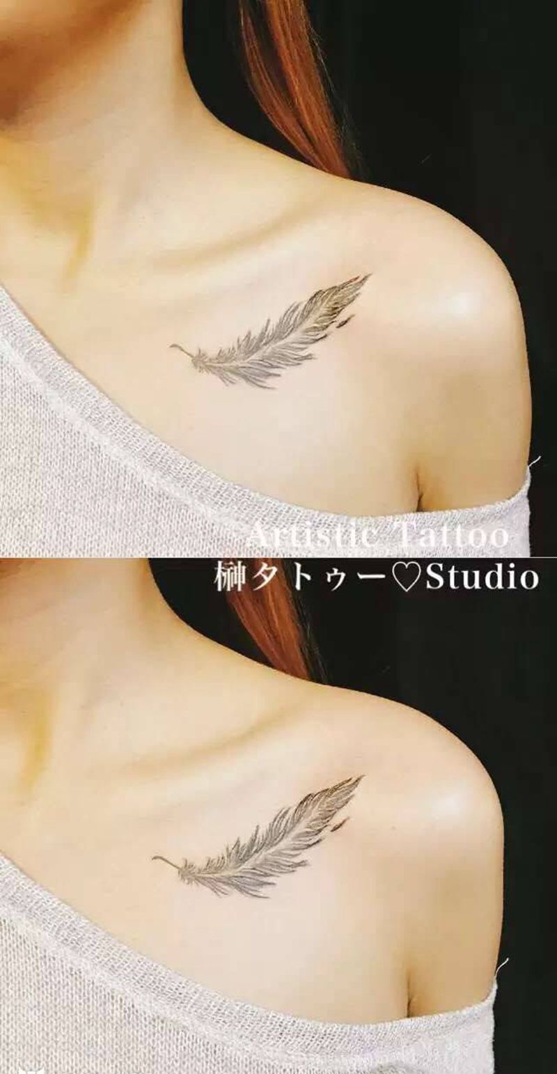 羽毛纹身图片_成品胸部欧美清新纹身图案