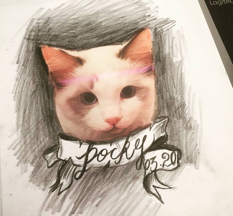 猫咪肖像手稿纹身图片_手稿腿部欧美肖像动物原创纹身图案