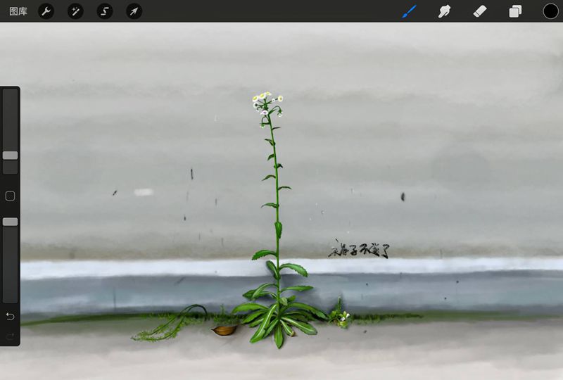 最近练习纹身图片_手臂腿部花纹身图案