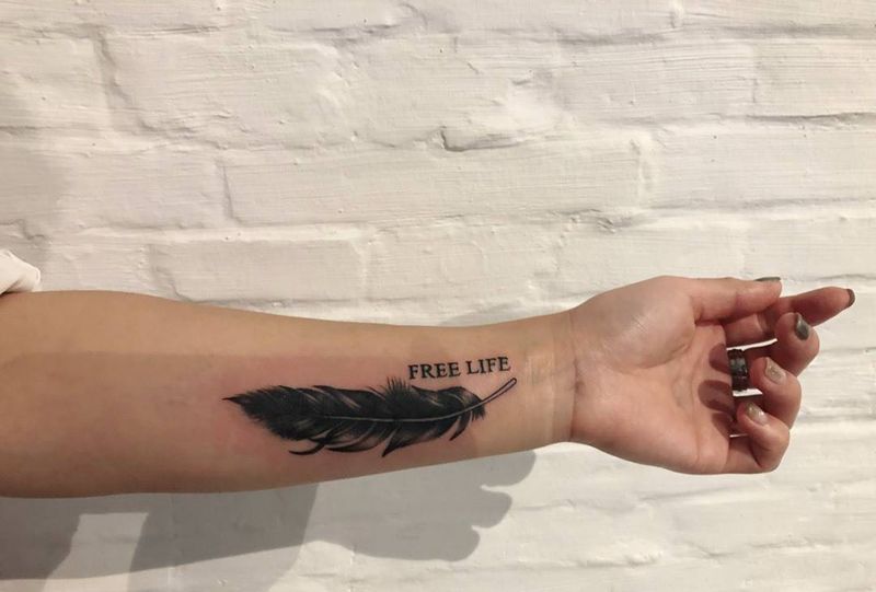 旧图遮盖，羽毛纹身图片