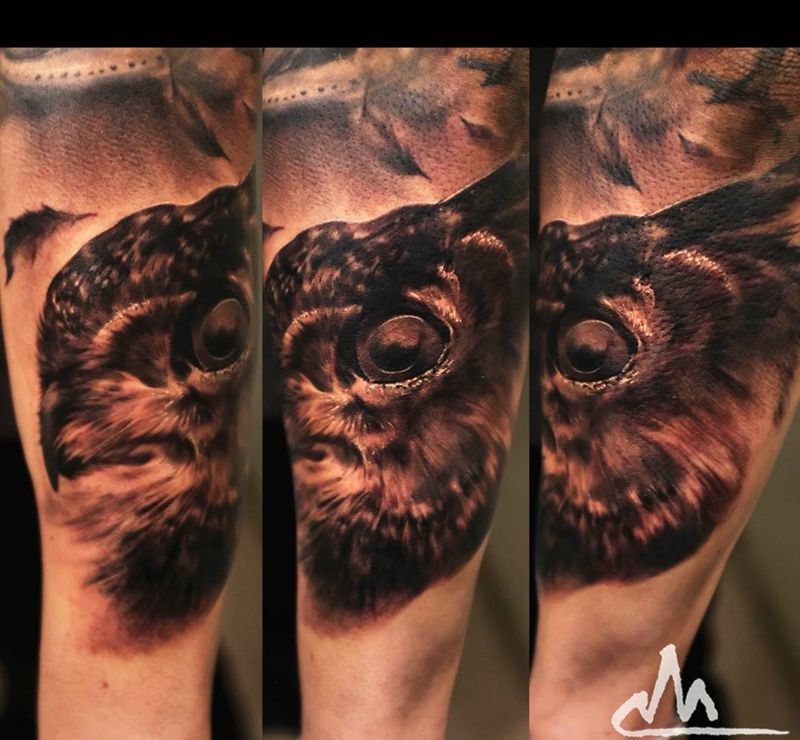 猫头鹰_包小臂进度纹身图片_成品手稿手臂习俗传统原创动物写实欧美纹身图案