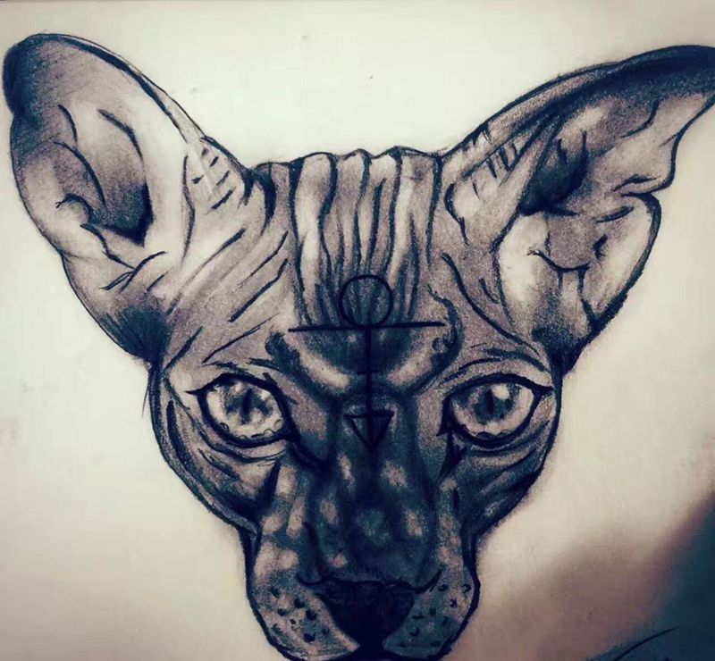 猫手稿纹身图片_手稿欧美几何动物原创纹身图案