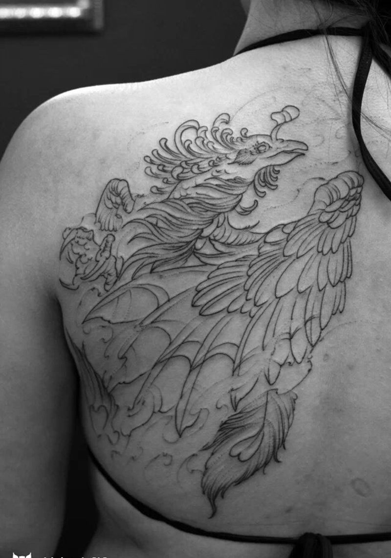 小凤纹身图片_传统手稿背部动物鬼神国画肩部习俗原创纹身图案