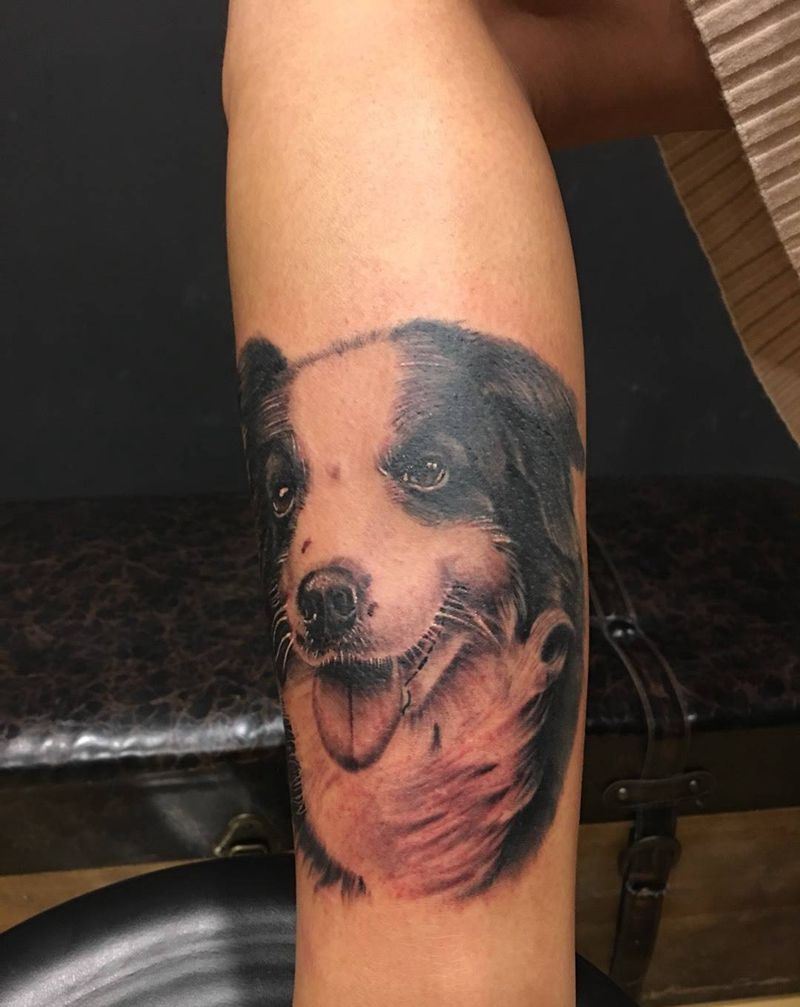 边牧纹身图片_成品腿部脚部手部手臂颈部胸部传统欧美清新纹身图案