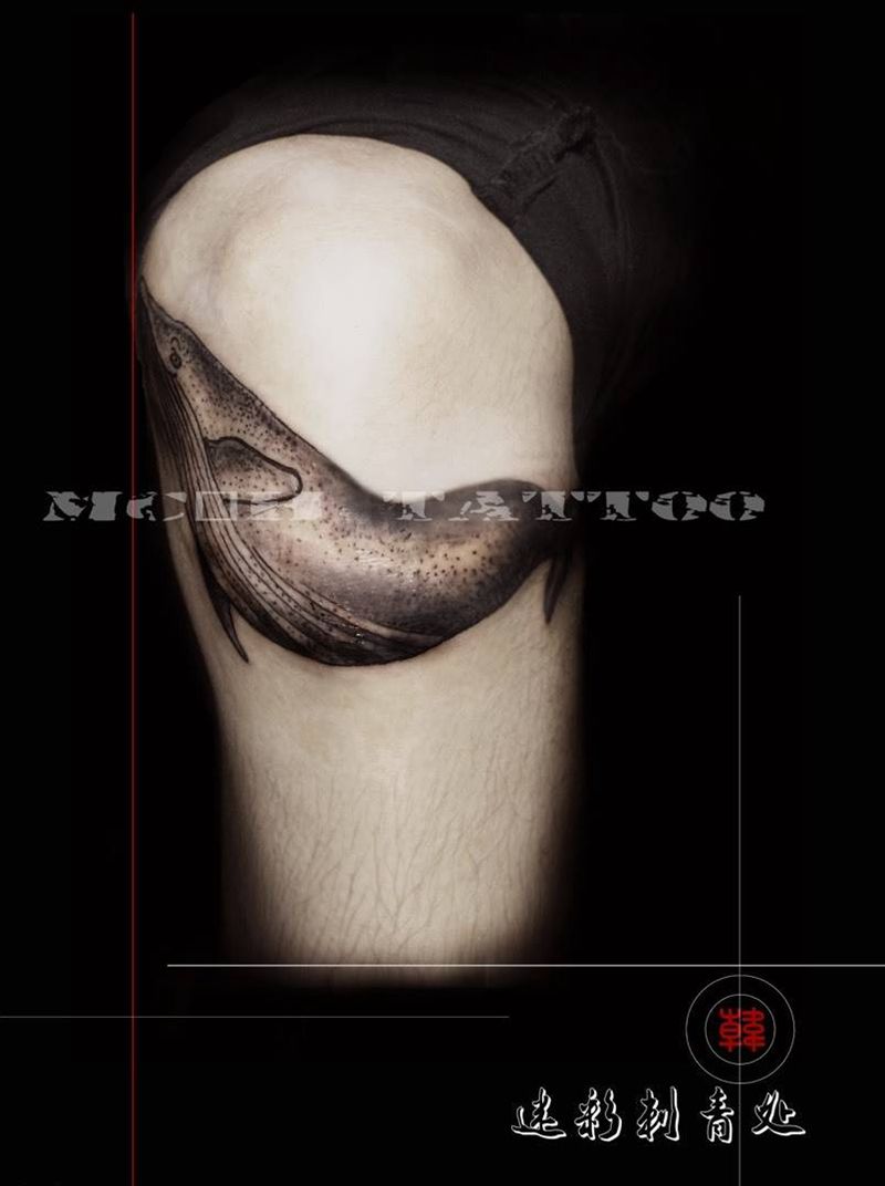 一条在膝盖上的小鱼儿纹身图片