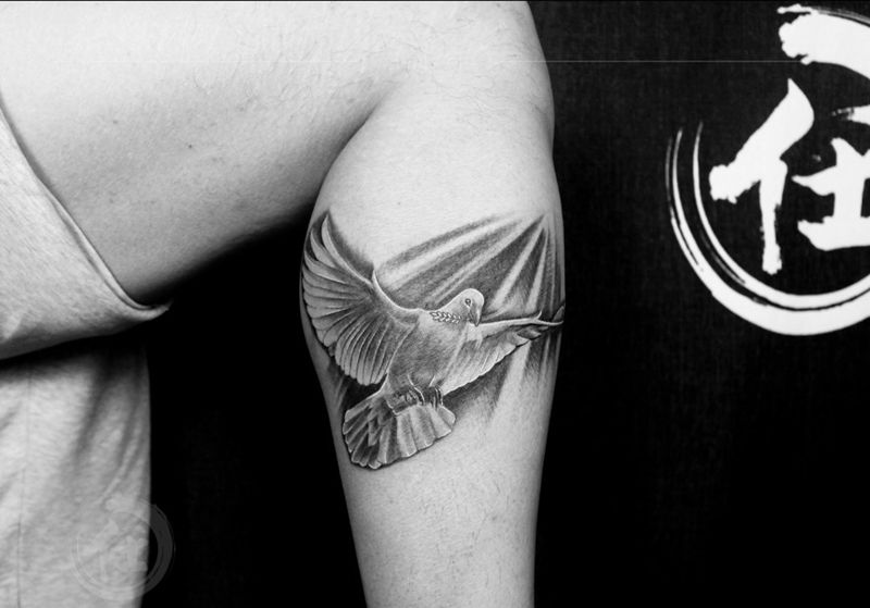 鸽子纹身图片