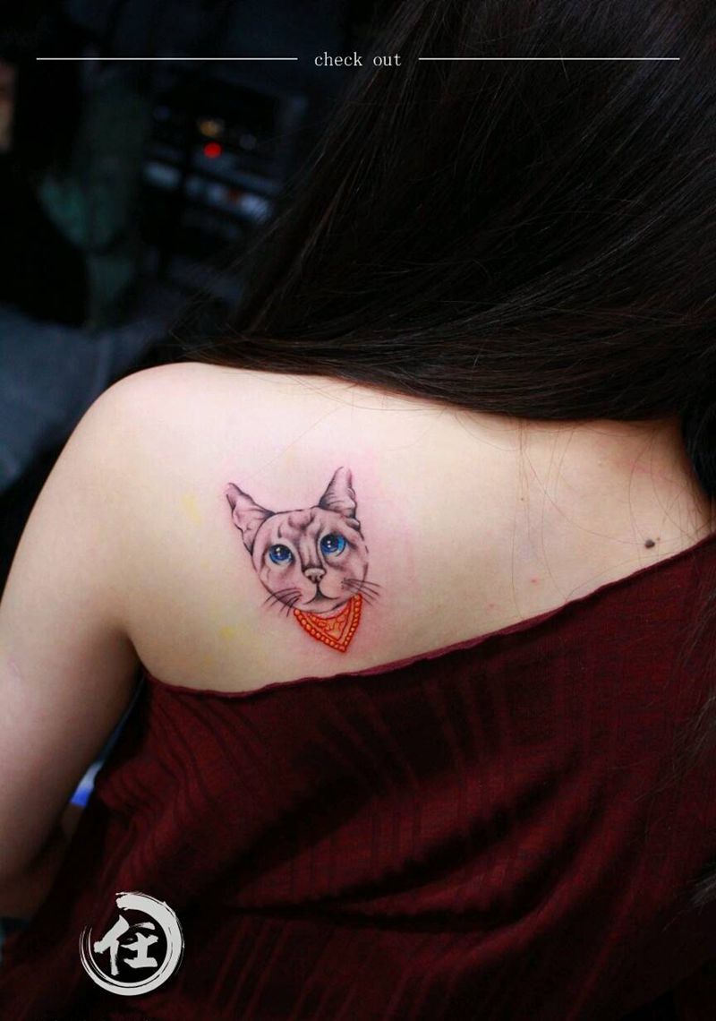 肩甲小猫咪纹身图片_肩部清新动物成品纹身图案
