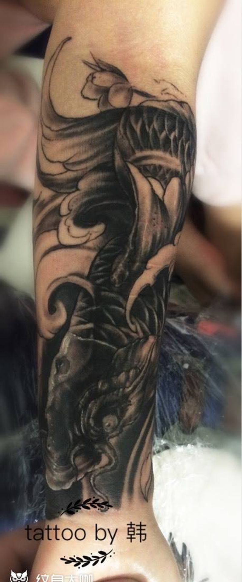 小臂鲤鱼遮盖纹身图片