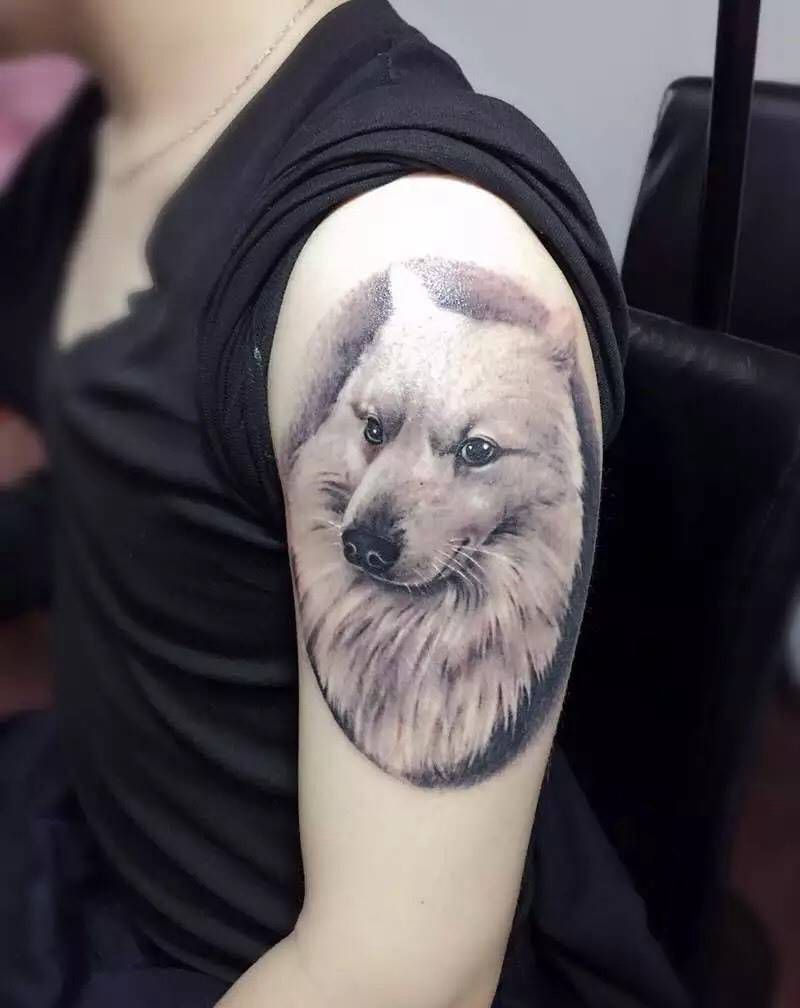 顾客家的狗狗纹身图片