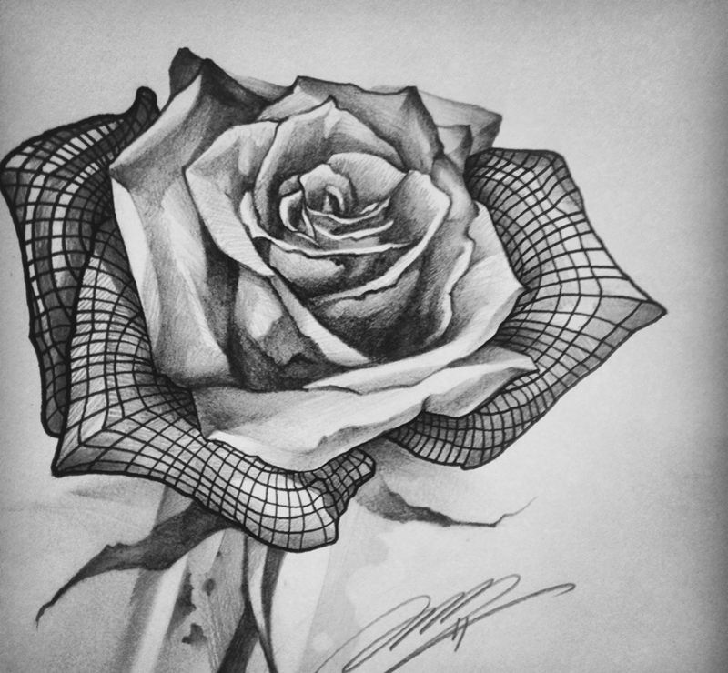 數位玫瑰纹身图片_成品手稿插画胸部欧美写实植物原创几何清新纹身图案