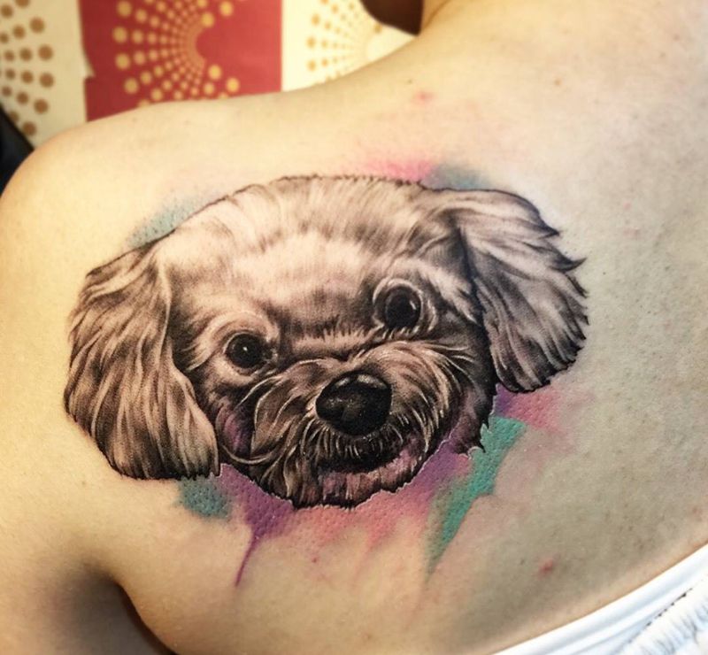 家人纹身图片_成品欧美清新写实原创动物水彩暈染女孩紋身設計背部纹身图案