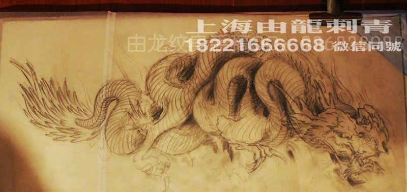 草稿、龙纹身图片